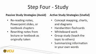 The Study Cycle