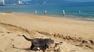 DJI Avata flight in Nha Trang Vietnam.