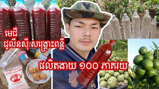 ការផលិតមេជី ជូលីនស៊ី សង្គ្រោះពន្លឺ