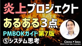 炎上プロジェクト、3つのあるある／PMBOKガイド第7版／プロマネの原理・原則 5／システムの相互作用を認識し、評価し、対応すること【プロマネの右腕】