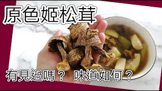 素湯 原色姬松茸味道如何? 姬松茸節瓜湯 簡單方便又美味的素湯 | 素食好煮意