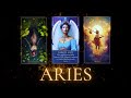 ARIES ‼️ TODAY WILL BE YOUR LAST DAY😱 PAY ATTENTION TO THE PHONE 🚨📞 ARIES 2024 TAROT LOVE READING
