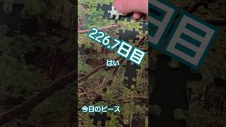 【１日1ピース】ジグゾーパズルいい加減完成させようぜ企画226,7日目【完成まであと半年？】