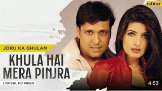 Khula Hai Mera Pinjra Full Song | Kumar Sanu, Alka Yagnik | Joru Ka Ghulam | #bollywood #djremix