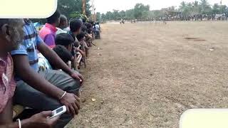 Bullock cart Race and Yethina Gadi Race Champion ( ಹುಲಿ  ಹೆಬ್ಬುಲಿ ) ಶ್ರೀರಂಗಪಟ್ಟಣ