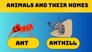 Animals and their homes| Home of Animals| Animal names and homes for Kids|