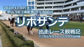 12/07(土) 中山5R リポサンテ 出走レース観戦記