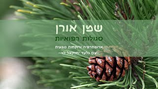 שמן אתרי אורן - סגולות רפואיות