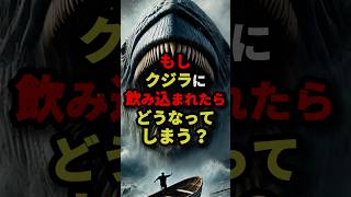 もしクジラに飲み込まれたらどうなってしまう？　#都市伝説