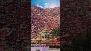 You won't believe this is Tibet, China 😱💥TIBET LARUNG GAR MAJESTIC VIEW #shorts #trending #china