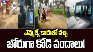 ఎమ్మెల్యే కారులో వచ్చి జోరుగా కోడి పందాలు! | MLA And Minister Sons | TV5 News