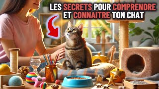 Tous les secrets pour rendre heureux et améliorer la vie de votre chat