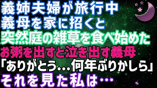 【スカッとする話】義姉夫婦が旅行中、義母を預かると突然義母が庭に降り雑草を口に詰め込み出したので、慌ててお粥を出すと義母「ありがとう…何年ぶりかしら」→その言葉を聞いた私は無言で立ち上がり【修羅場】