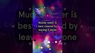 Alan Watts "Muddy water is best cleared by leaving it alone" | @EndelSound