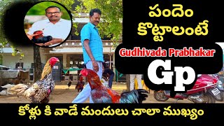 యాంటీబయోటిక్స్ ఎక్కువగా వాడడం వల్ల కోడి పోట్లాట తగ్గుతుంది || gudivada prabhakar garu