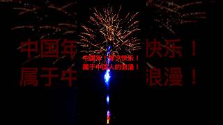 除夕快乐！属于中国人的浪漫！Happy New Year's Eve! This is the romance unique to the Chinese people!#中国年 #春节 #烟花