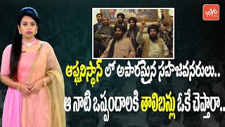 ఆఫ్ఘనిస్థాన్ లో అపారమైన సహజవనరులు | Afghanistan Talibans | Afghanistan Latest News | YOYO TV Channel