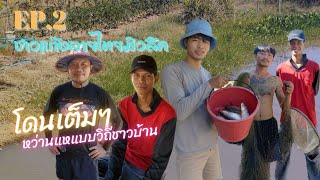 ปลาโคตรเยอะ หมานอีกแล้ว  วันว่างของทีมงาน ลายไทย มิวสิค EP.2