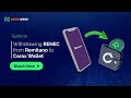 Step-by-Step: Withdrawing RENEC from Remitano Wallet to Carax Demon Wallet