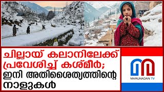 കശ്മീരിൽ ഇനി അതിശൈത്യത്തിന്റെ നാളുകൾ | kashmir weather