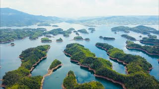 Tà Đùng - Khám phá vẻ đẹp có 1-0-2 giữa lòng đại ngàn Tây Nguyên 🌿 Vietnam Natural