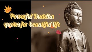 🌈 Powerful Buddha quotes l 🌸Motivation#trending