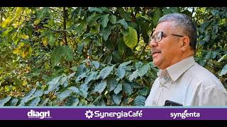 Experiencias Diagri-Synergia café, Uso del Fungicida ELATUS 45 WG