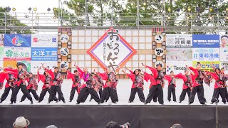 [4K] Kumanoサポーターズリーダー　おどるんや 紀州よさこい祭り 2019 砂の丸競演場