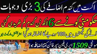 Wheat price in Punjab Pakistan 2023 |پنجاب میں گندم کی قیمت کیا ہے|Today Gundam Rates in 2023|