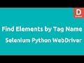 Python WebDriver find_element _by_tag_name