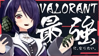 【VALORANT】最強になりたかった最弱の女のヴァロ