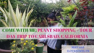 Come with me: Plant shopping + tour | Carlsbad, CA | May 2018 | ILOVEJEWELYN