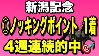 【◎ノッキングポイント1着🎯4週連続的中🔥】新潟記念2023最終考察