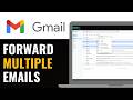 How to Forward Multiple Emails in Gmail 2026 (Gmail Tutorials)