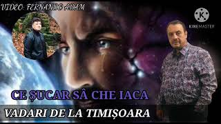 Vadari de la Timisoara - Ce sucar sa che iaca / 2021 Official Video