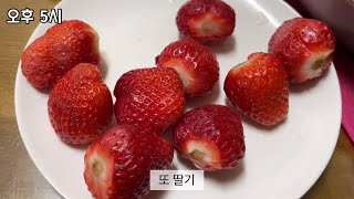 폭식증 후 다이어트vlog. 이게 아침과 저녁의 차이가...... 너무 현실적이라 부끄럽네요. 제목에 다이어트 빼야할듯(매일업로드)