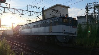 貨物列車撮影記 東海道本線 草薙～清水間 2022/9/10