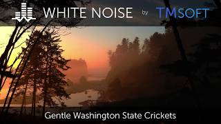 Gentle Washington State Crickets 10 Hour Sleep Sound - Black Screen