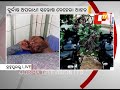 notorious criminal injured in police encounter in ganjam