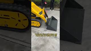 Rippa skid steer loader, worth having