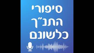 מלכים א יד-טו: רחבעם, אבים ואסא מלכי יהודה - סיפורי התנ\