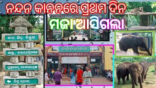 Nandan Kanan vloge //ନନ୍ଦନ କାନନରେ ମଜା ଆସିଗଲା ହାତୀକୁ ପାଖରୁ ଦେଖିଲୁ// ସିଂହ କୁ ରହସ୍ୟ କରିଲି// ଭୁବନେଶ୍ୱର