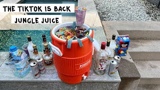 The TikTok is Back Jungle Juice