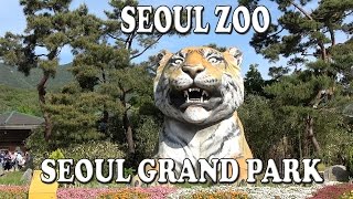 Seoul Zoo in Seoul Grand Park (서울대공원 어린이동물원) Sony FDR-AX53 4K Ultra HD Handy Cam