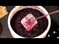 punching down wine for better flavor and extraction.