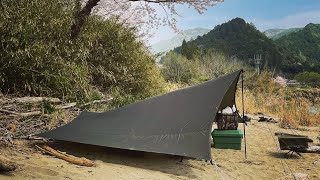 桜が満開の川辺でソロキャンプをしたよ Solo camp on the riverside where the cherry blossoms were in full bloom