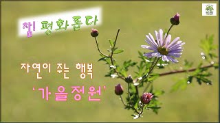 참!평화롭다, 자연이 주는 행복 '가을정원'