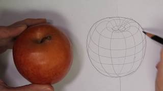 Drawing  an apple with cross contour lines