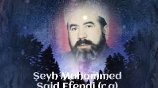 Kûtbûl Arîfîn İmam-ı Sedîdî Şeyh Muhammed Said Efendi