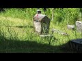 sainte marie island and the pirate s cemetery. madagascar